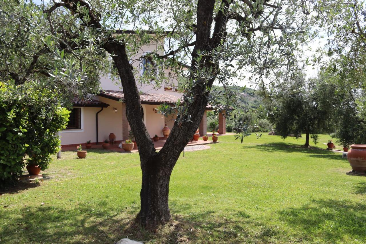 Agriturismo Il Bagolaro Nerola المظهر الخارجي الصورة