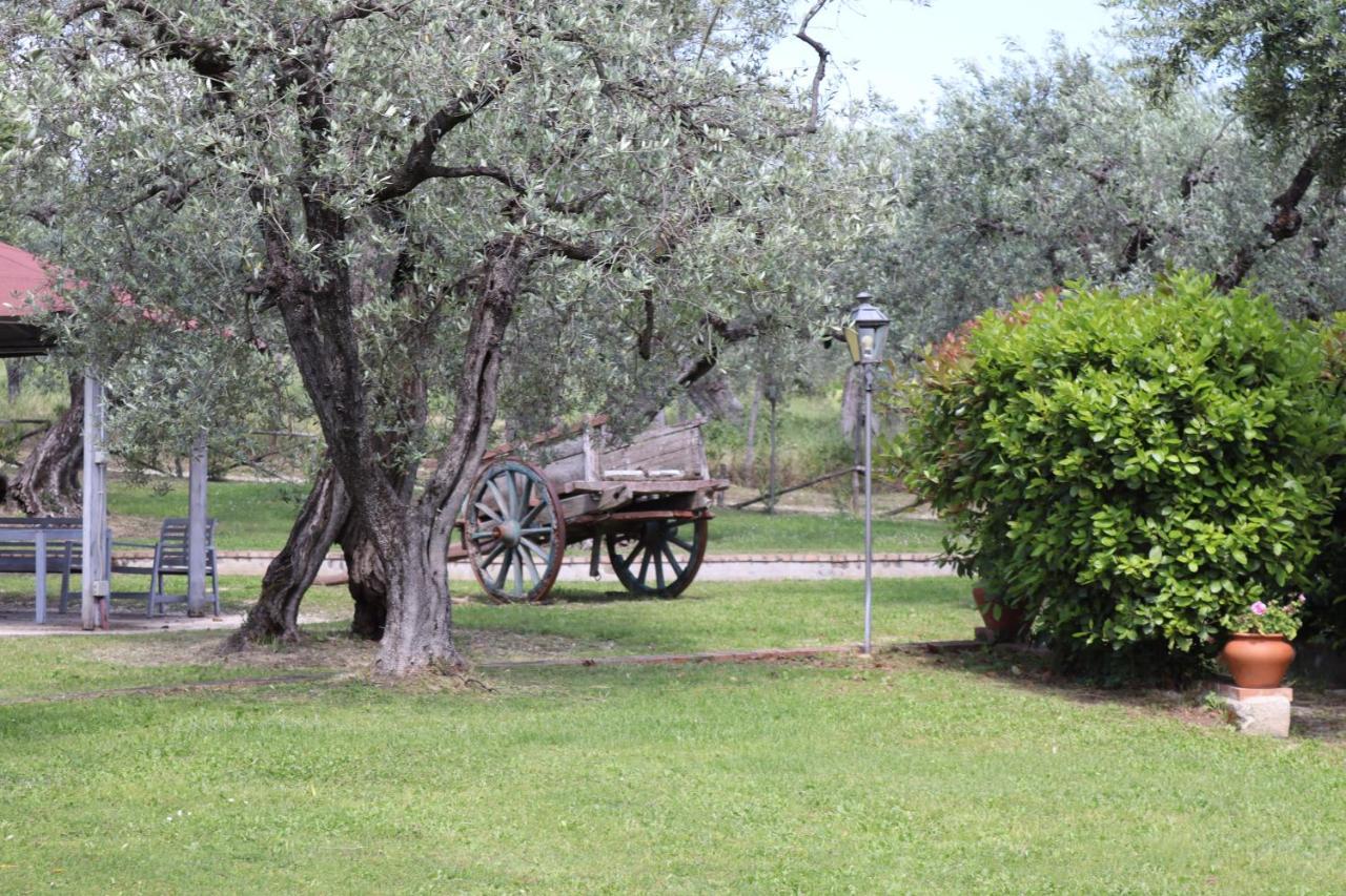 Agriturismo Il Bagolaro Nerola المظهر الخارجي الصورة