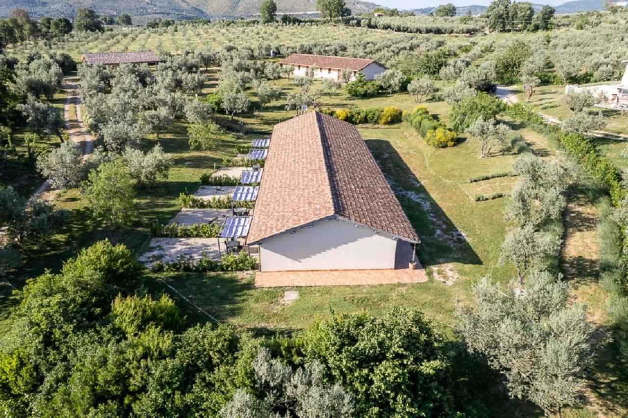 Agriturismo Il Bagolaro Nerola المظهر الخارجي الصورة