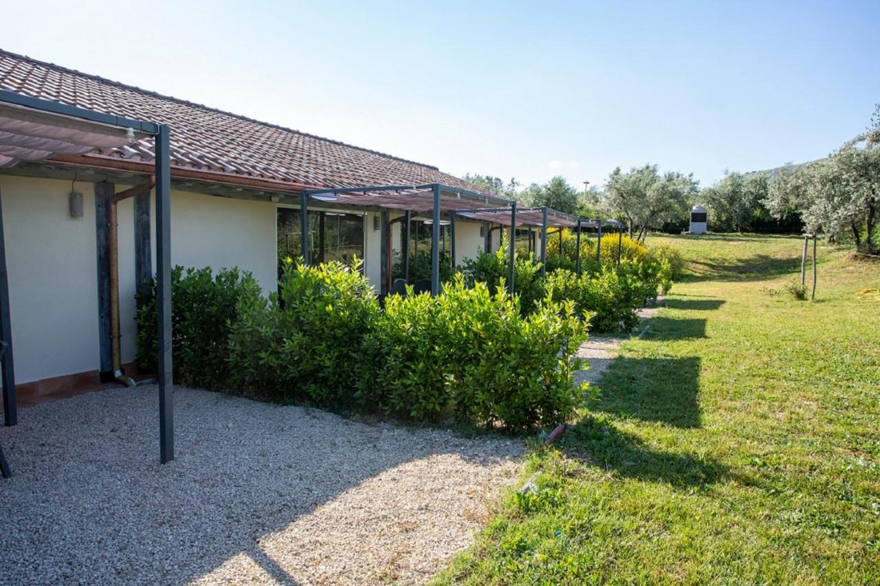 Agriturismo Il Bagolaro Nerola المظهر الخارجي الصورة