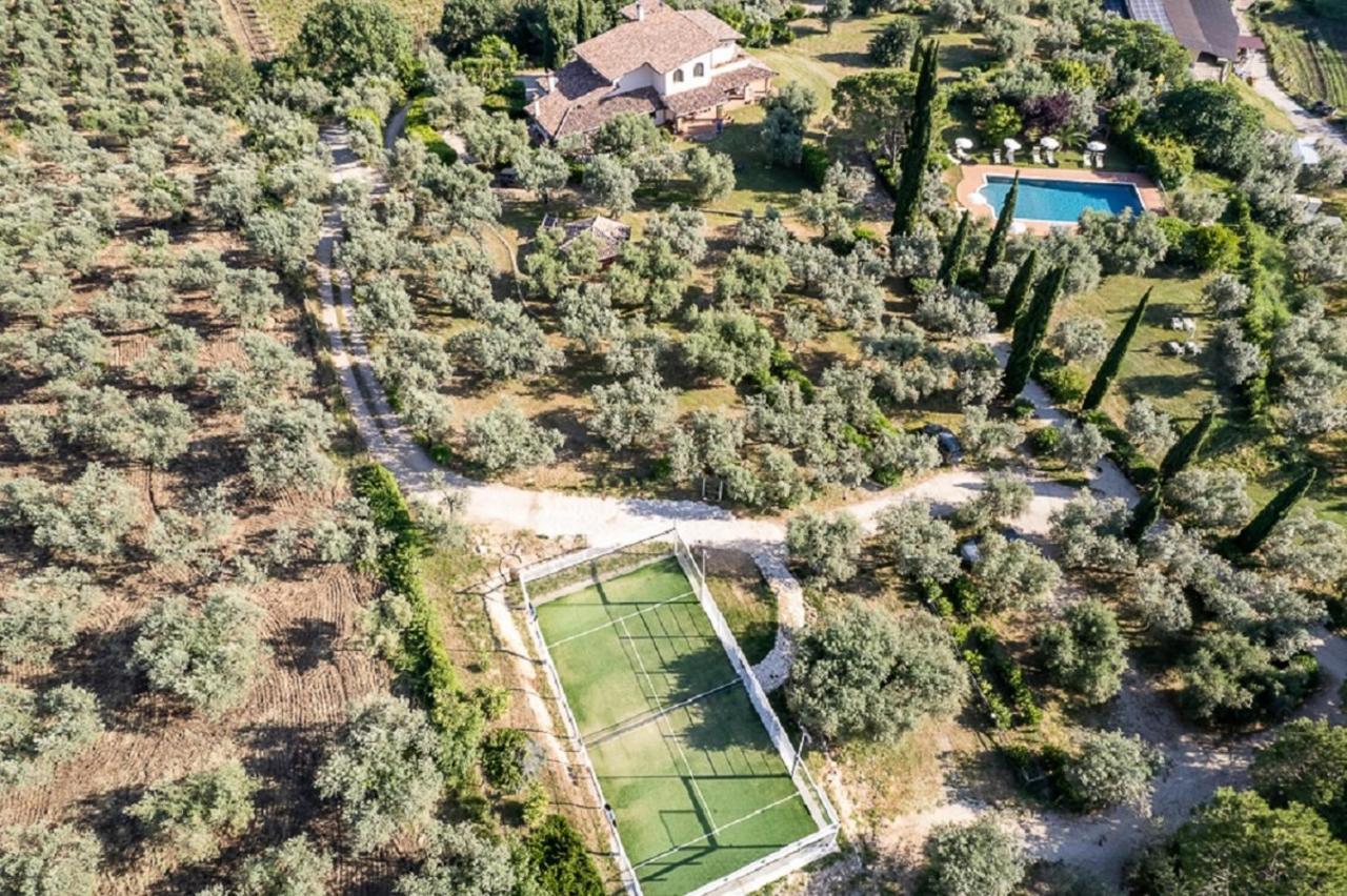 Agriturismo Il Bagolaro Nerola المظهر الخارجي الصورة