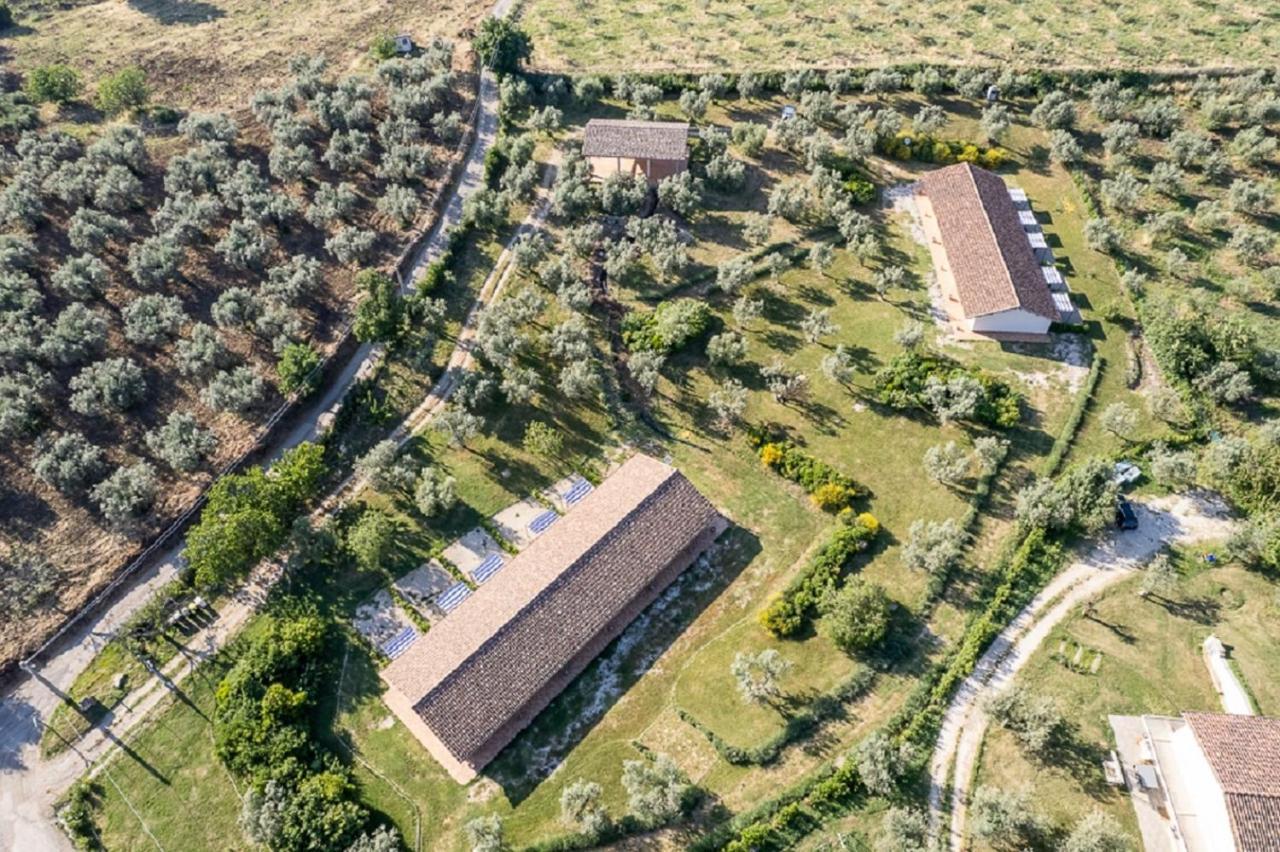 Agriturismo Il Bagolaro Nerola المظهر الخارجي الصورة