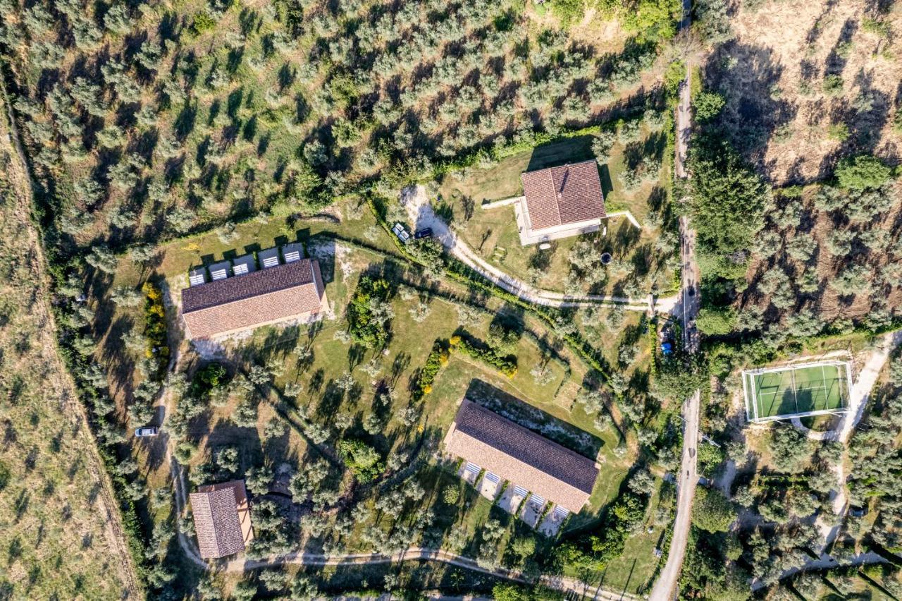 Agriturismo Il Bagolaro Nerola المظهر الخارجي الصورة